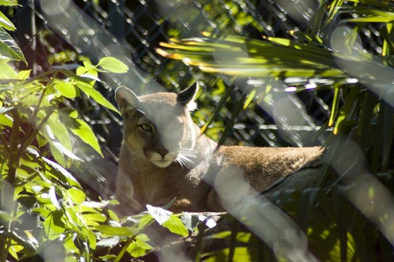 zoo_9 [800x600].jpg